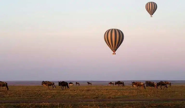 Hot Air Balloon Safari