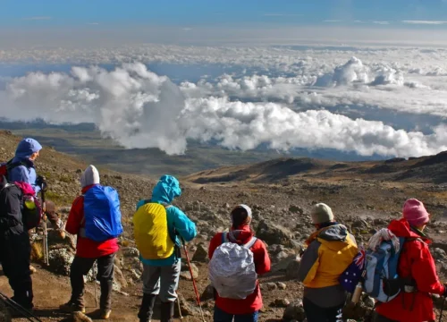 Climbing Mount Kilimanjaro: The Complete Beginner’s Guide 2025
