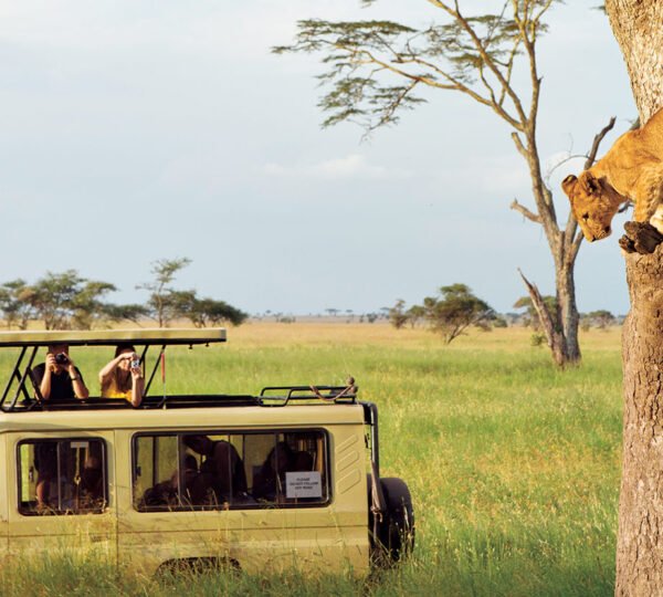 Tarangire