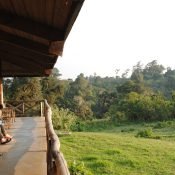 Best Time for Safari in Tanzania