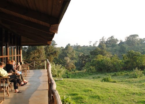 Best Time for Safari in Tanzania: Month-by-Month Wildlife & Weather Guide 2025