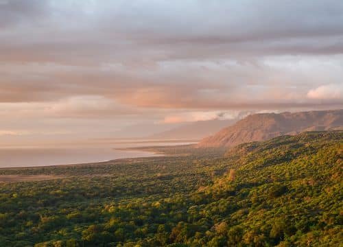 2 Days Tanzania safari ( Tarangire and Ngorongoro)