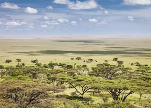 9-Day Ultra-Luxury Safari and cultural visit