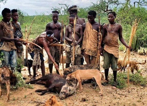14 Days Cultural Safari – Maasai, Hdzabe and Datonga tribes