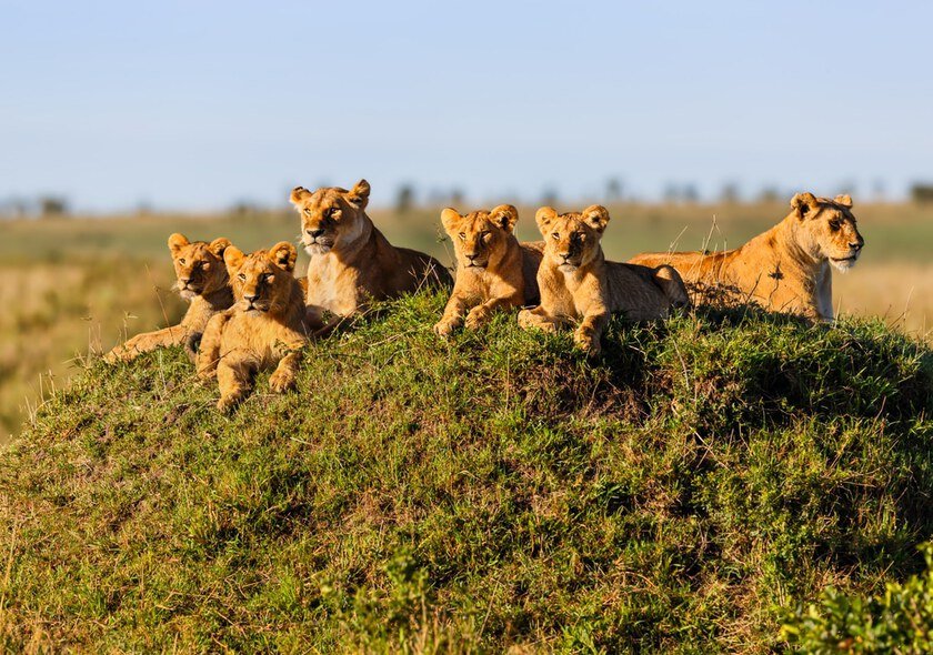 Best Time To Visit Tanzania