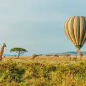 Best Time To Visit Tanzania