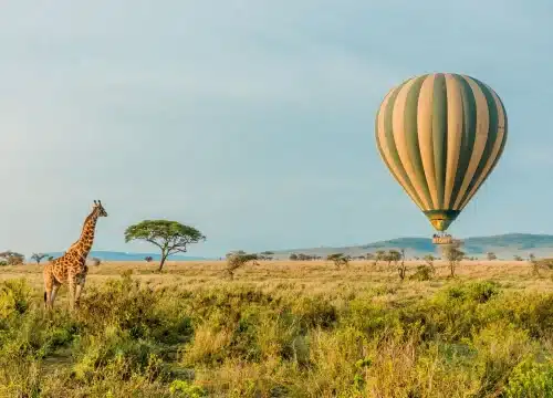 Best Time to Visit Tanzania: Top 5 Safari & Beach Travel Months