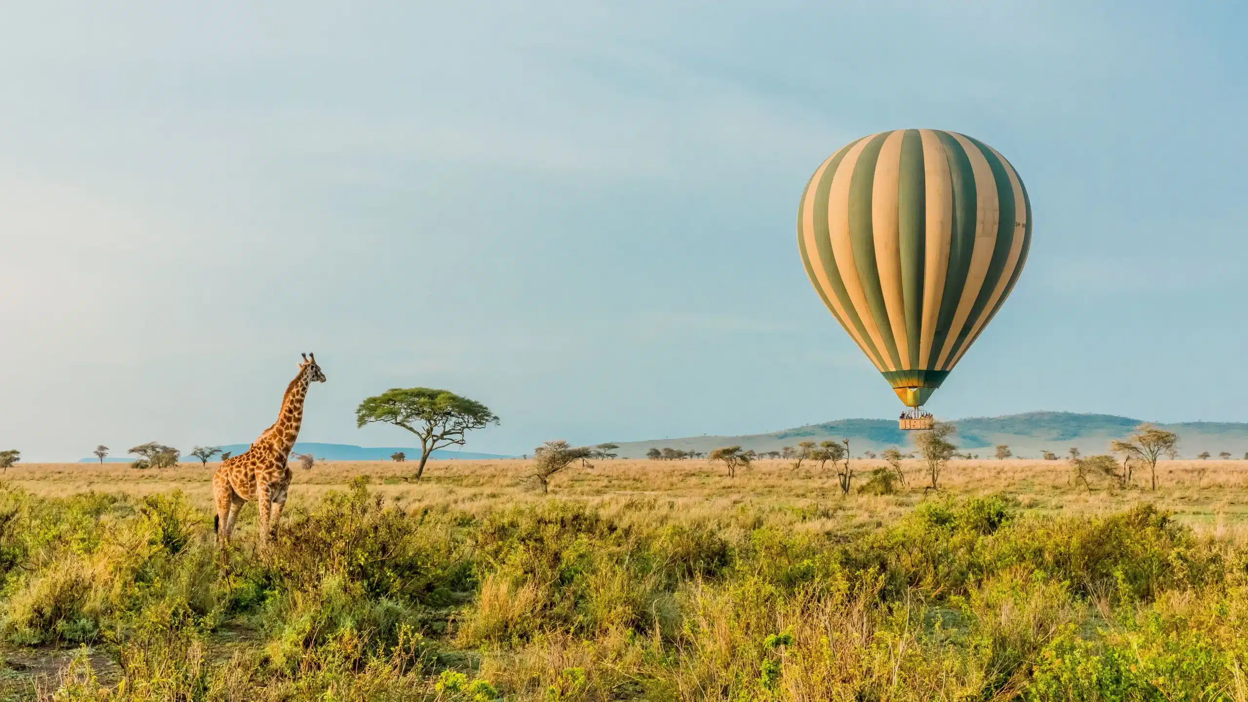 Best Time To Visit Tanzania