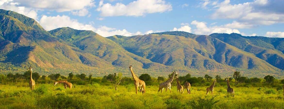 underrated Tanzania national parks