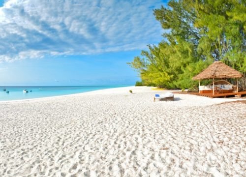 2 weeks Tanzania safari