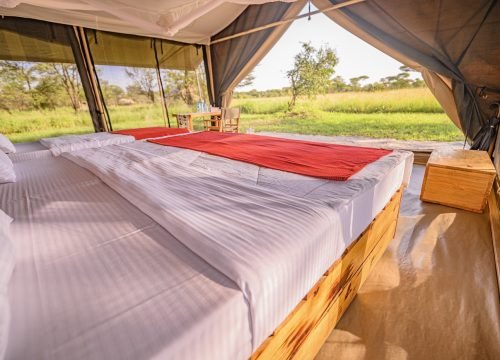 Pamoja Serengeti Migration Camp