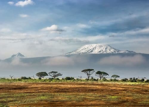7 Days Lemosho Route Kilimanjaro Trekking