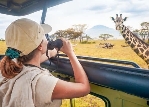 10-Days Honeymoon Safari & Zanzibar Beach Retreat