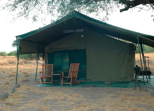 4-Day Private Camping The Pearl Special Safari