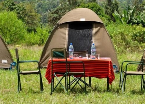 3-Day Serengeti & Ngorongoro Private Camping Safari
