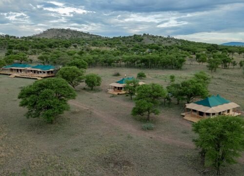 Serengeti Signature Camp