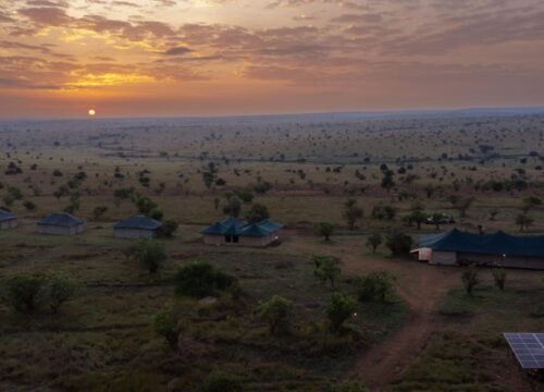 Olmorijo Camps (Kogatende, Nabi Hills, Ndutu)