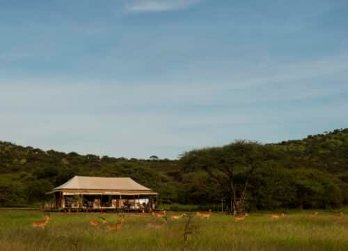 Sound of Silence Tented Camp Serengeti