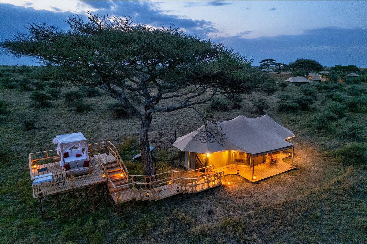 Safari-Haven-Serengeti-Camp-1