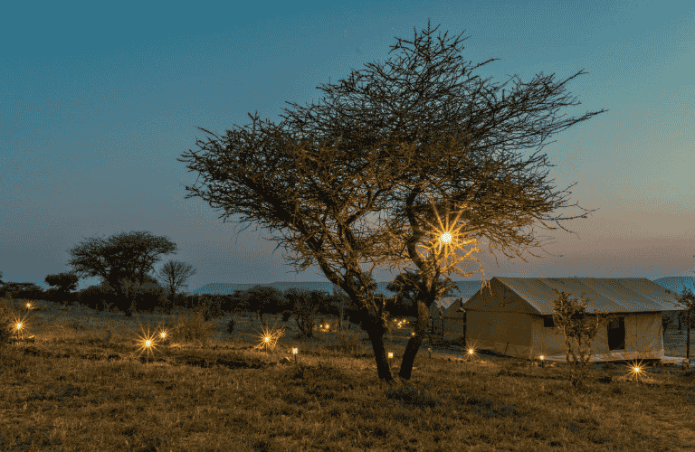 Untitled-design-24-768x500