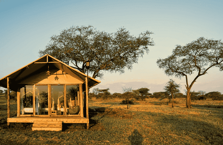 Untitled-design-26-768x500