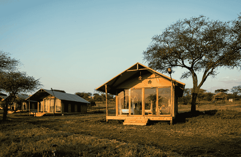 Untitled-design-27-768x500