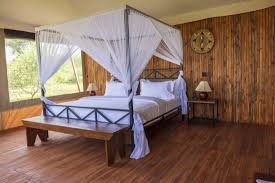 Safari Haven Camps