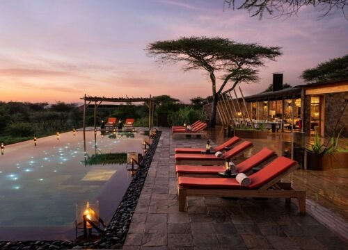 Malaika Camps and Lodges (Ndutu and kogatende)